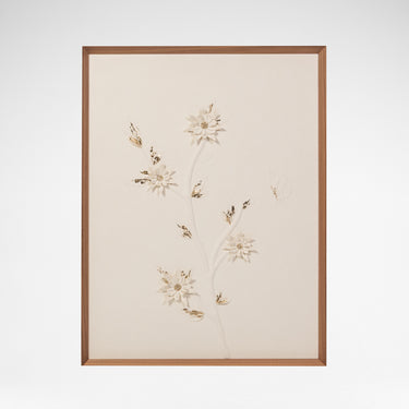 Star Flower 1 - Aiveen Daly