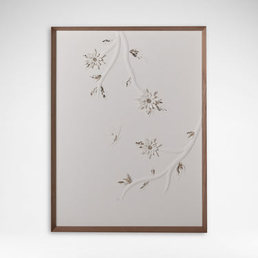 Star Flower 2 - Aiveen Daly
