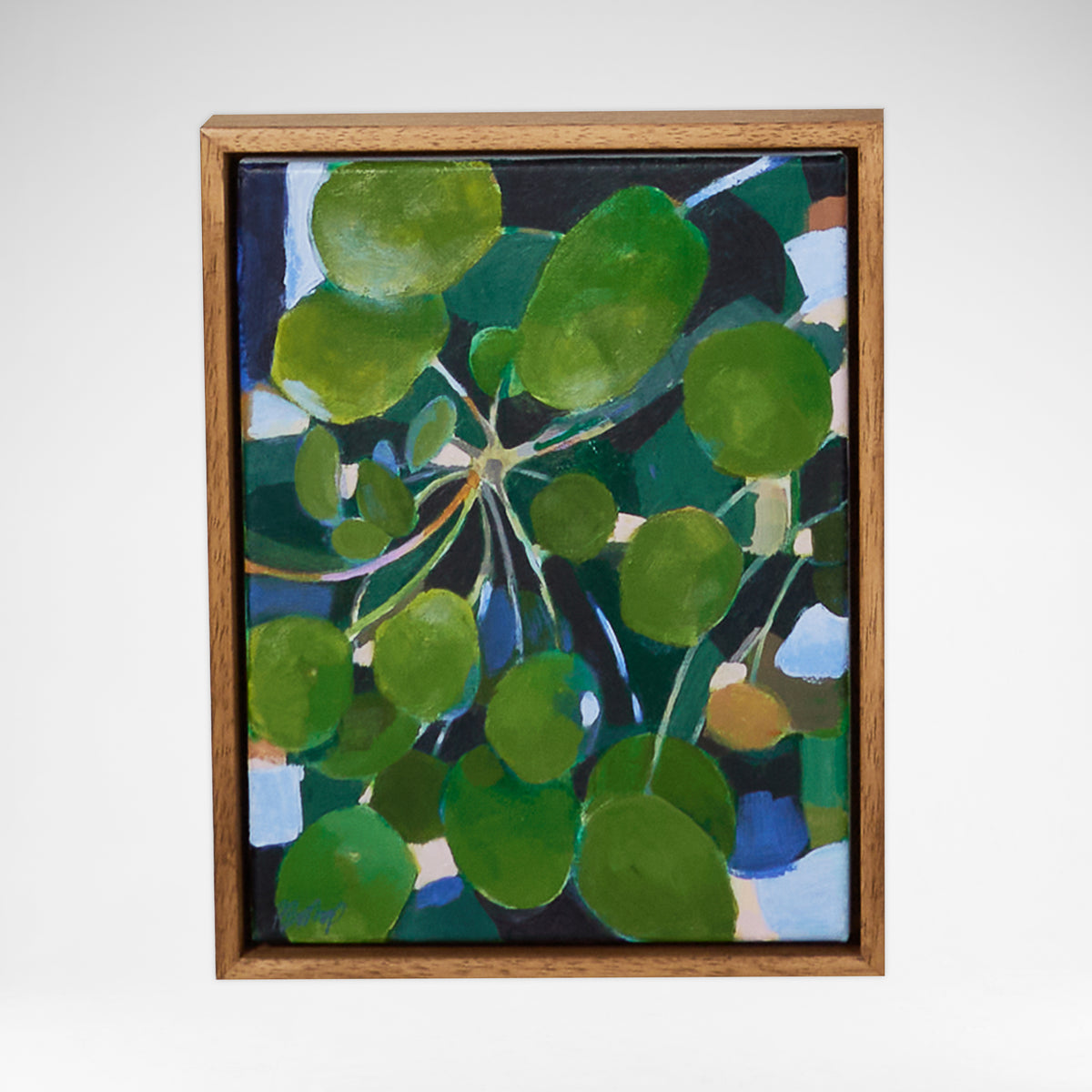 Friendship Plant - Pip Bishop