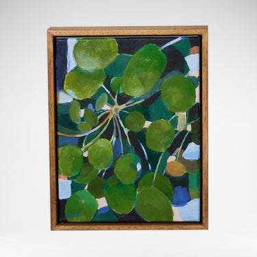 Friendship Plant - Pip Bishop