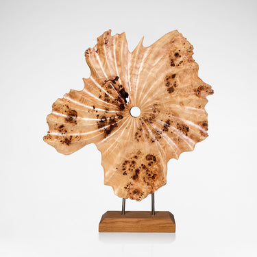 Inner Drift II - Pavan Patel