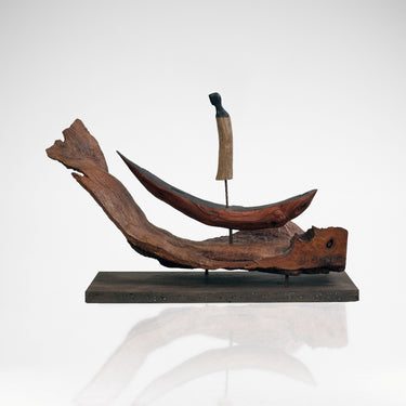 Riding the Wave - Roger Hardy