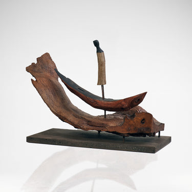 Riding the Wave - Roger Hardy