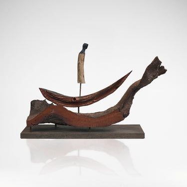 Riding the Wave - Roger Hardy
