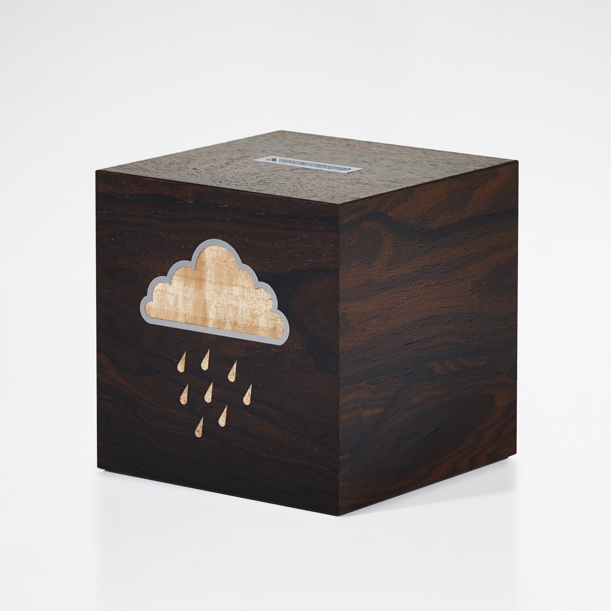 Saving for a Rainy Day Money Box