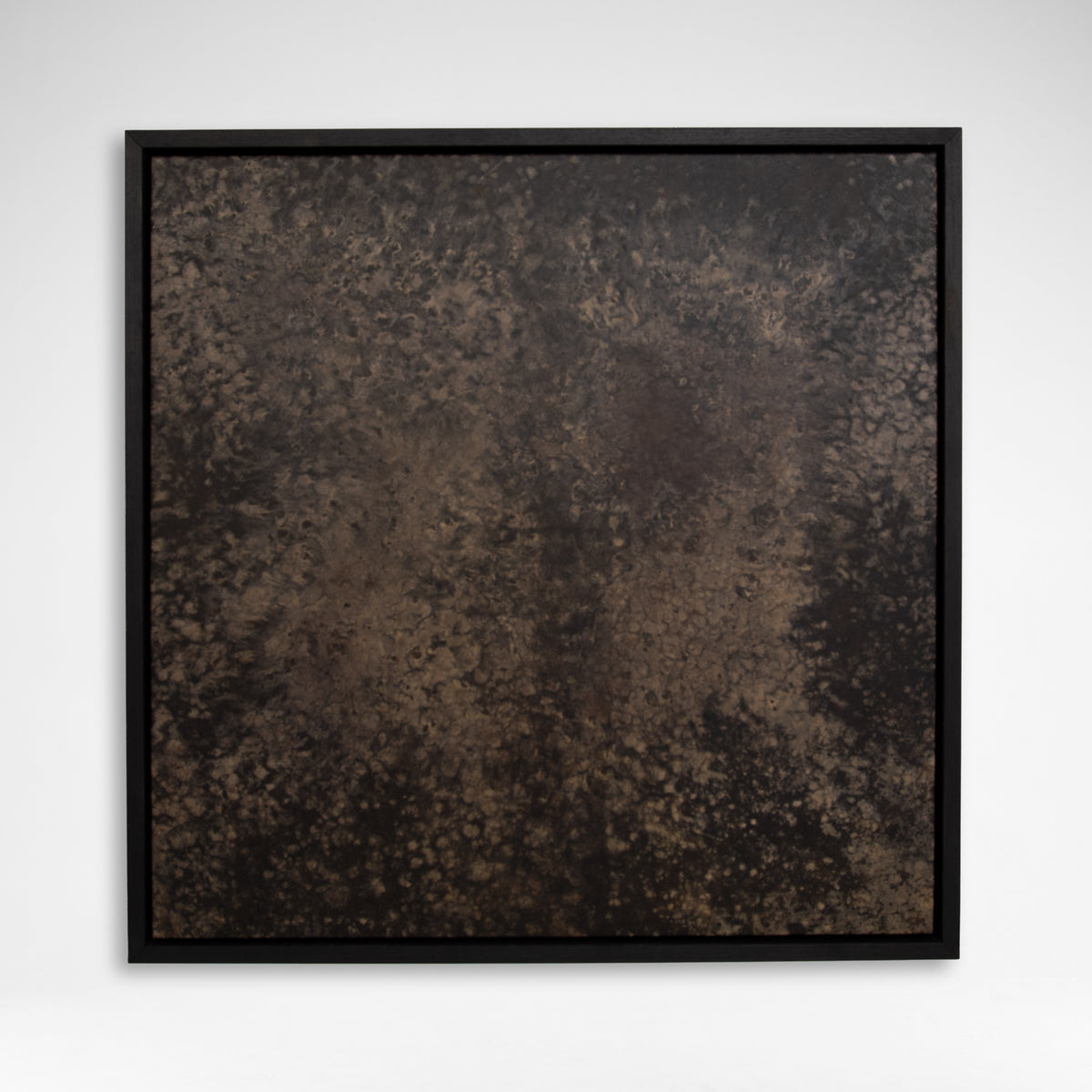 Ashes 01- Edition 4174 - Spora