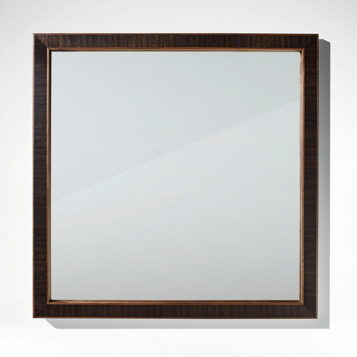 Evolution Mirror